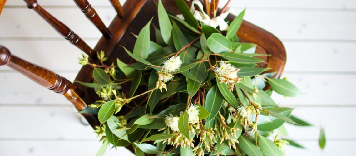 fredagsbukett eucalyptus november