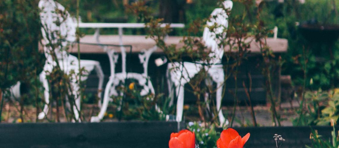 kolonilott stockholm volang blogg lovely life-6