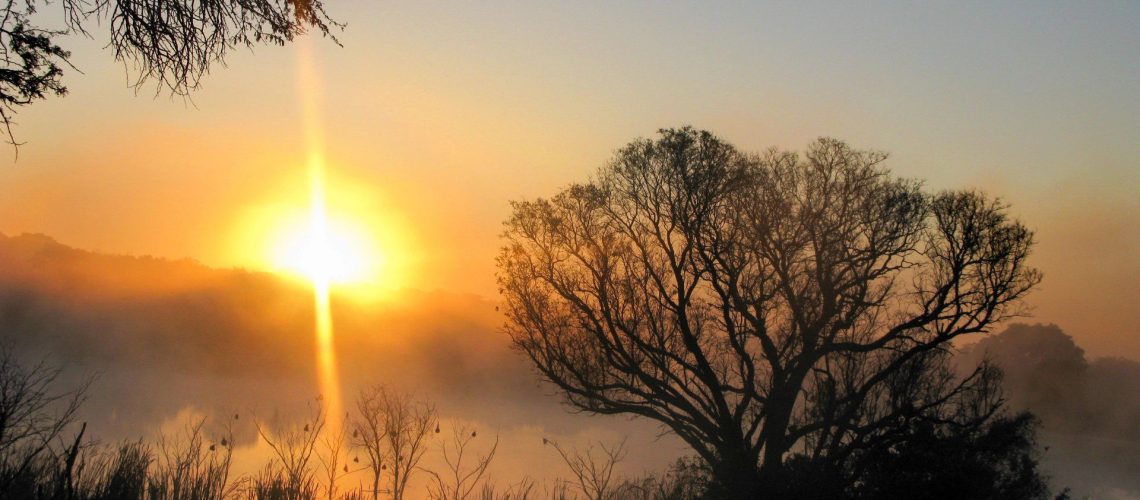 lovelylife_20safari_20billede