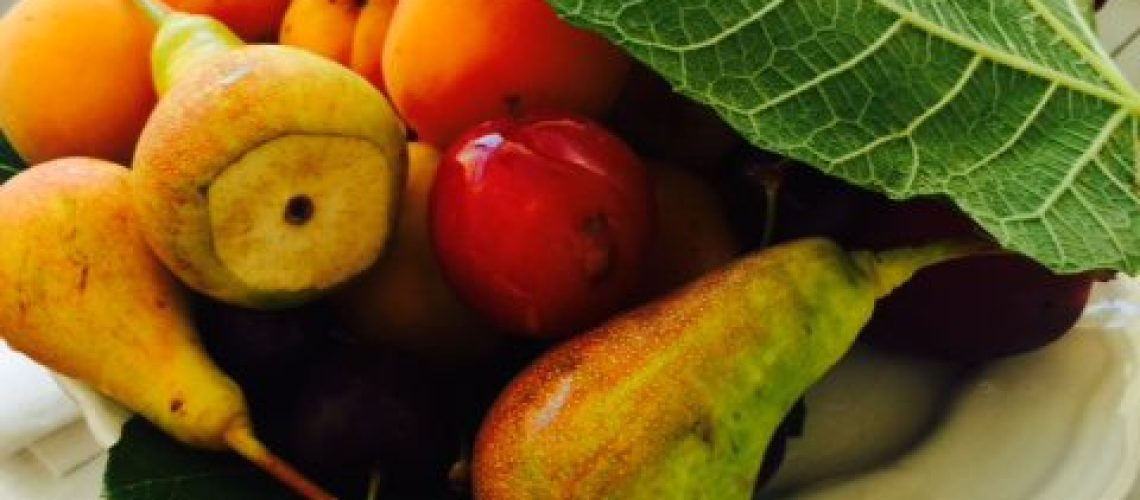 masseriafruit