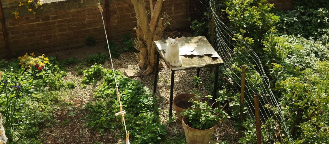 pexels-sabrina-martins-2149920013-31021449 (1) pexels-sabrina-martins-2149920013-31021449 (1)