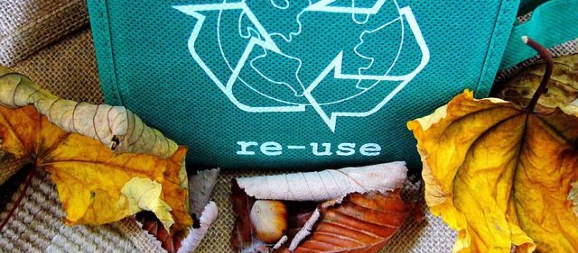 shirley810-recycle-57136_640