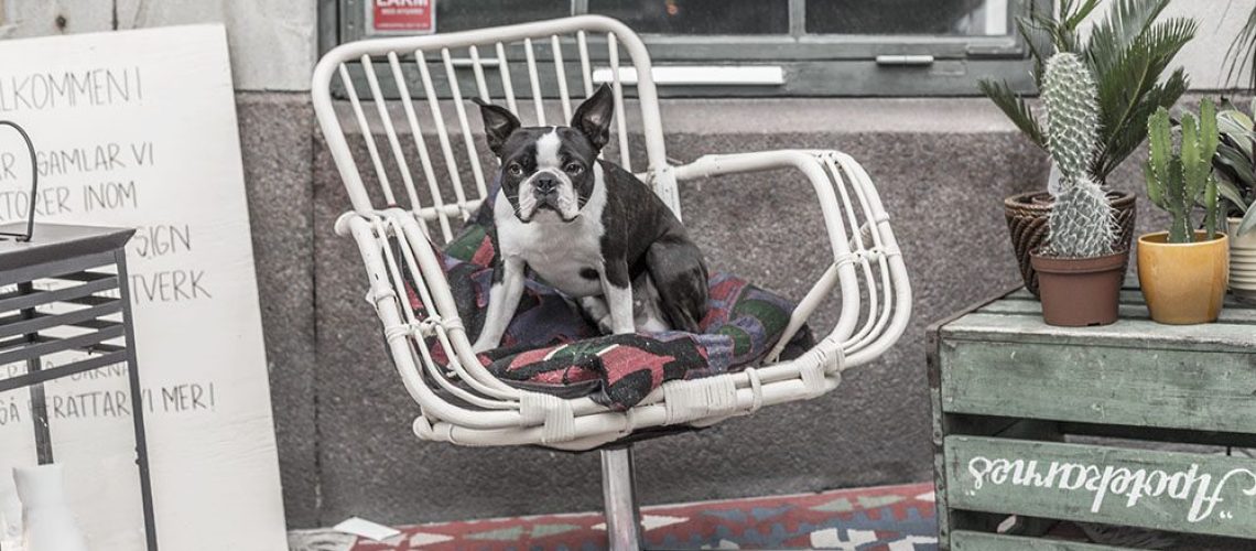 strenghielm_bodilvintage.2