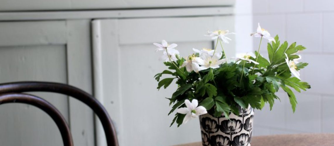 tantjohanna_vitsippor