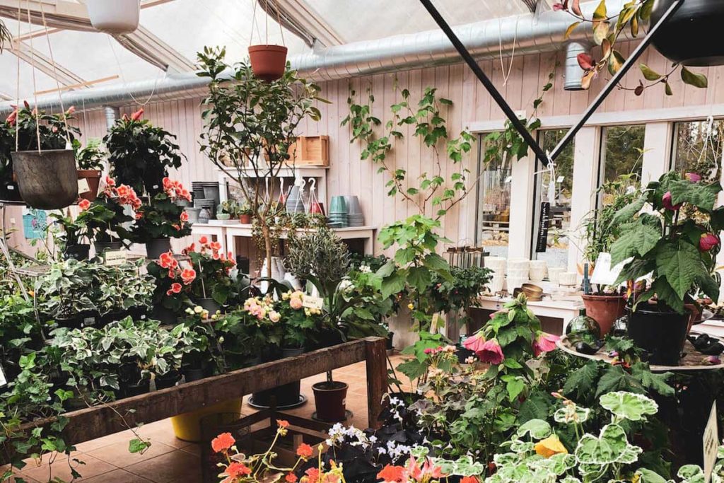 handelsträdgård Lovely Life