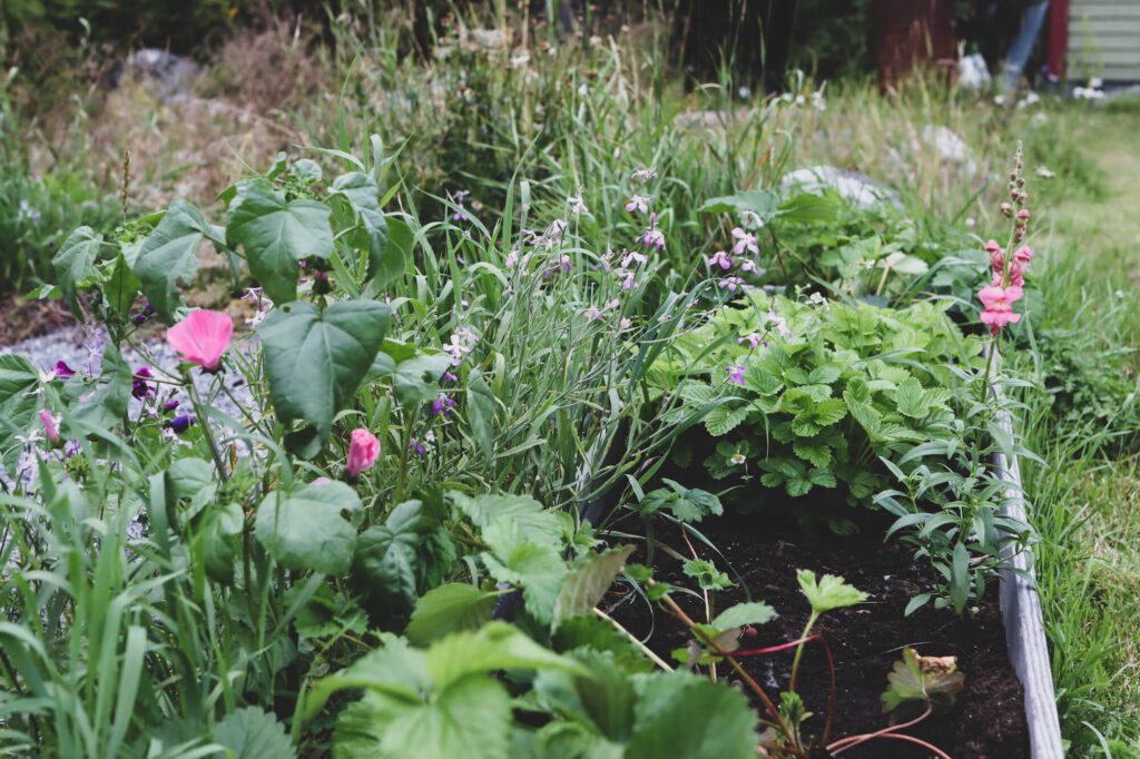 Lovely Life 464 image00007 3 Lovely Life