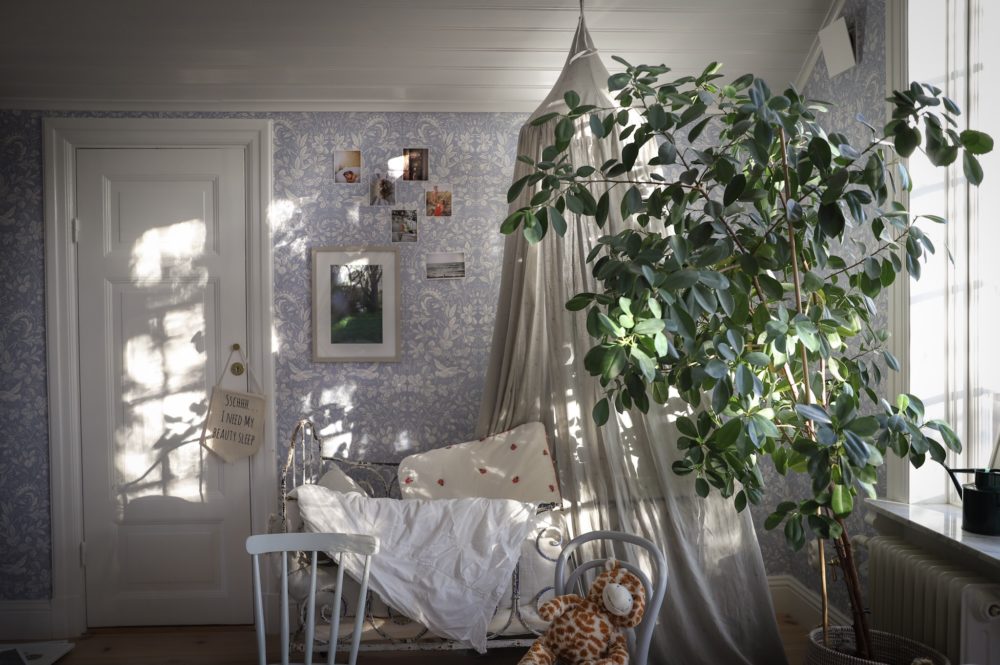 img 0927 2 e1538688100471 Kan någon stoppa mig?