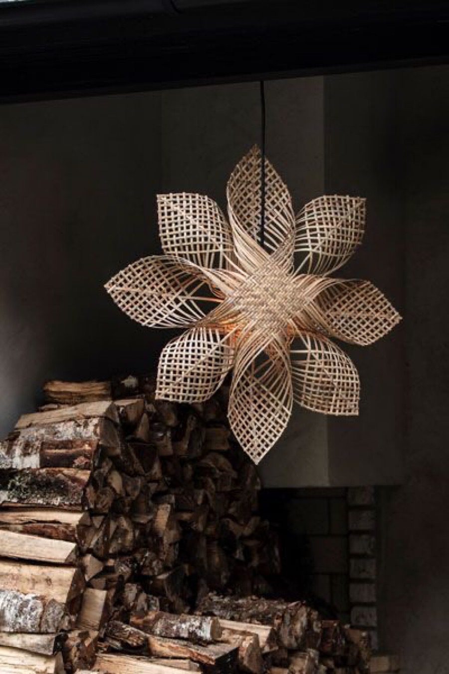 julstjärnarotting Vilken blir årets julstjärna?