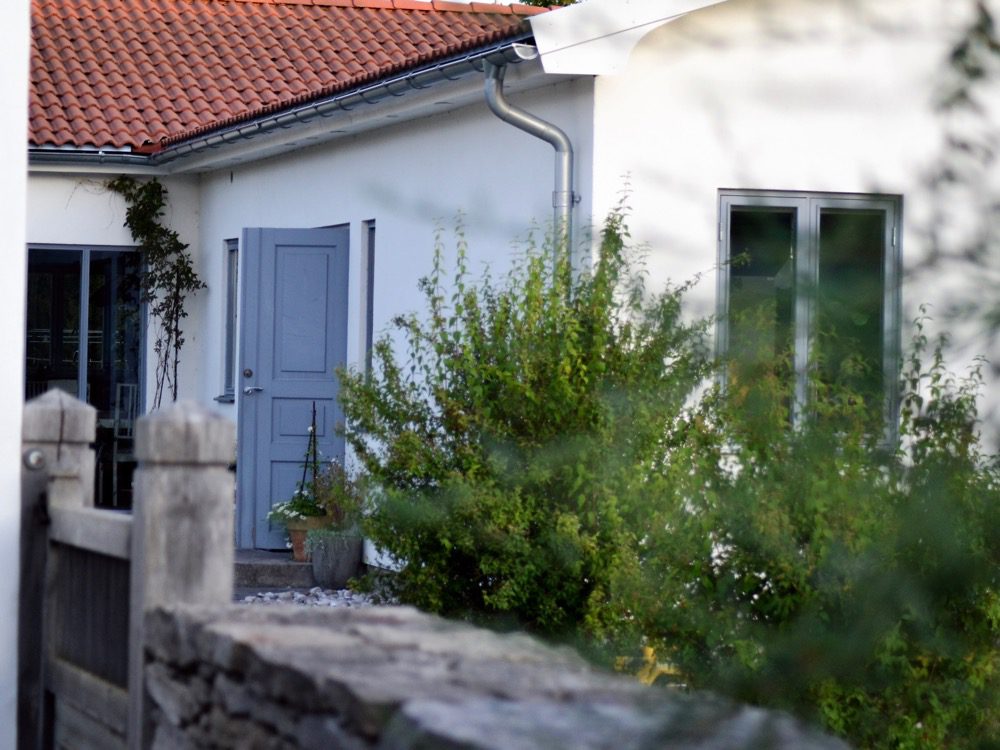 Dagdrömmar om ett växthus 7 kalkstensmur02 Dagdrömmar om ett växthus