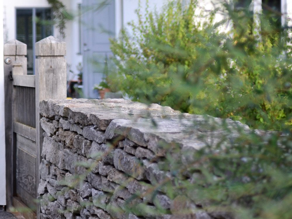 Dagdrömmar om ett växthus 8 kalkstensmur03 1 Dagdrömmar om ett växthus