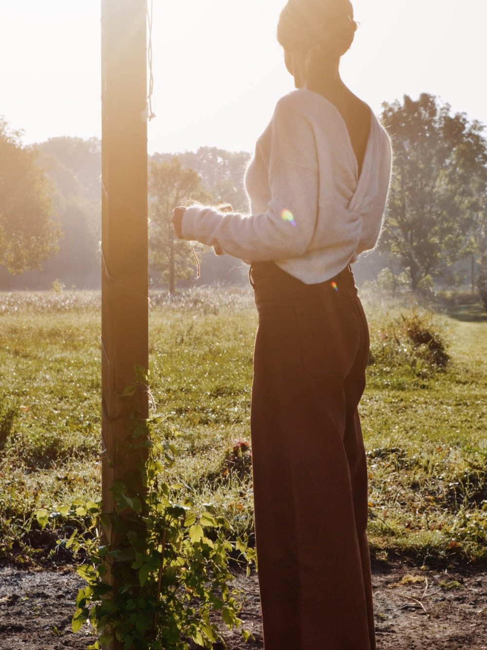 klematis01 På senaste