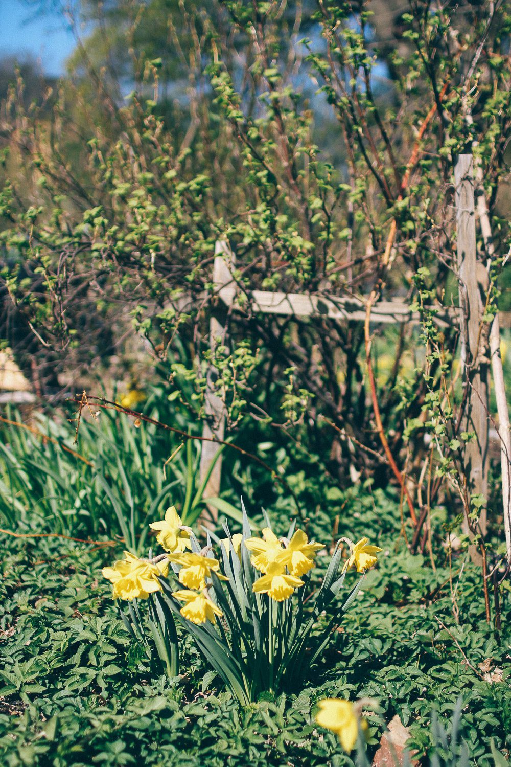 lovely life volang kolonilott Vår kolonilott i ELLE Decoration