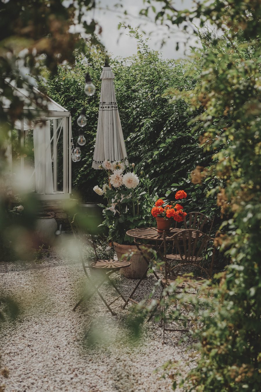 Motgångar i årets trädgård 1 motgangar i arets tradgard dahlia cafeaulait uteplats linnea 01 Motgångar i årets trädgård