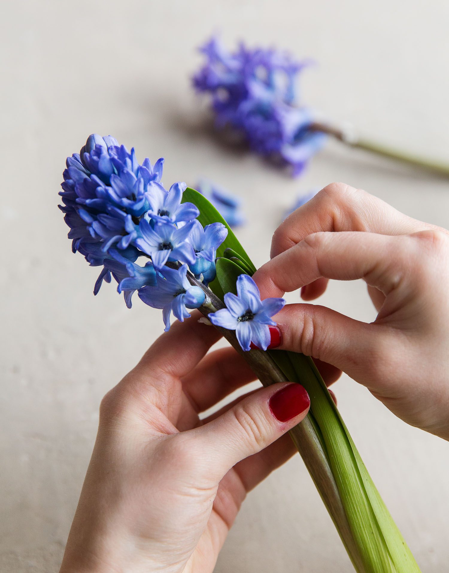 namnlöst 23 av 34 DIY- Gör enkla servettringar av hyacint