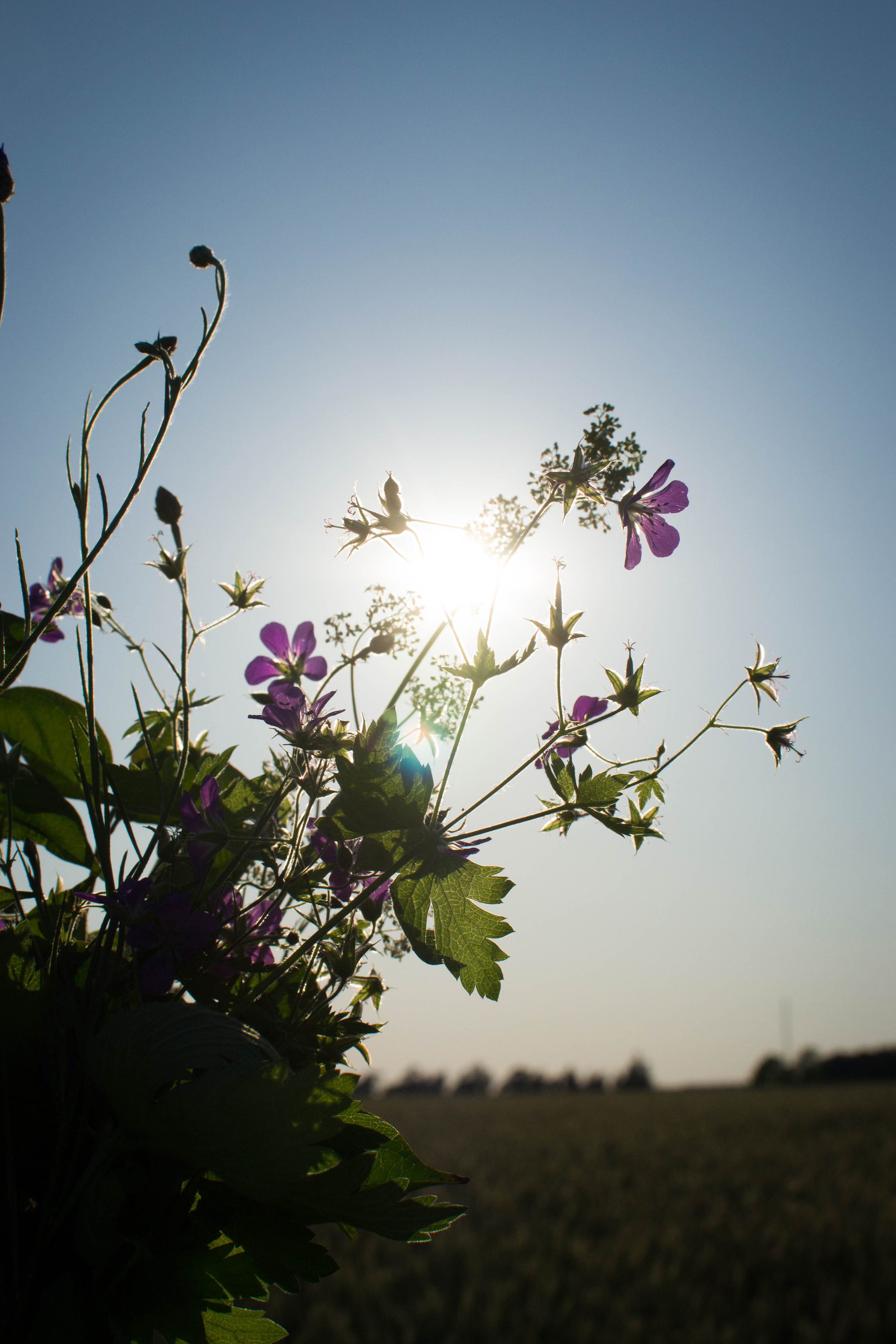 namnlöst 10 Runt knuten här hemma