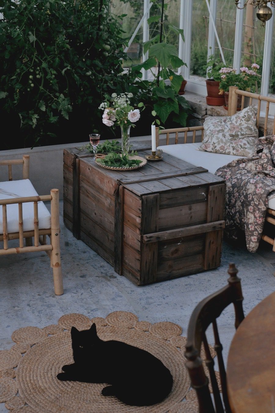 På kvällstur i växthuset 2 orangeri04 På kvällstur i växthuset