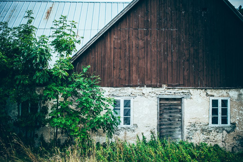 Läs mer om artikeln krickelin – pelargonodlaren