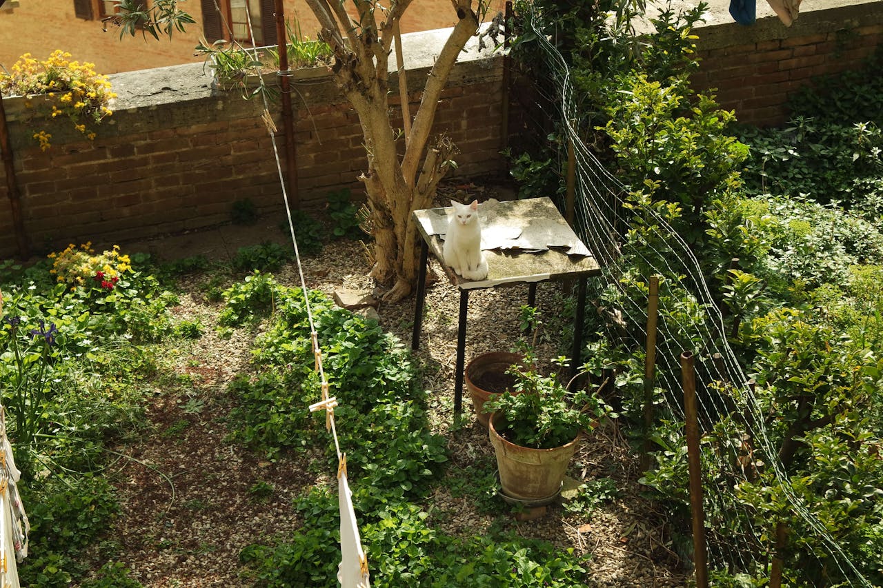 Läs mer om artikeln Skapa en mysig uteplats – inspiration och praktiska råd