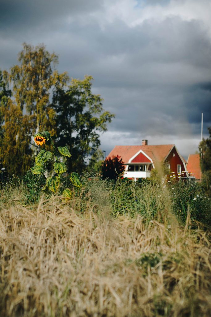 plathuset dalarna orsa Lovely Life