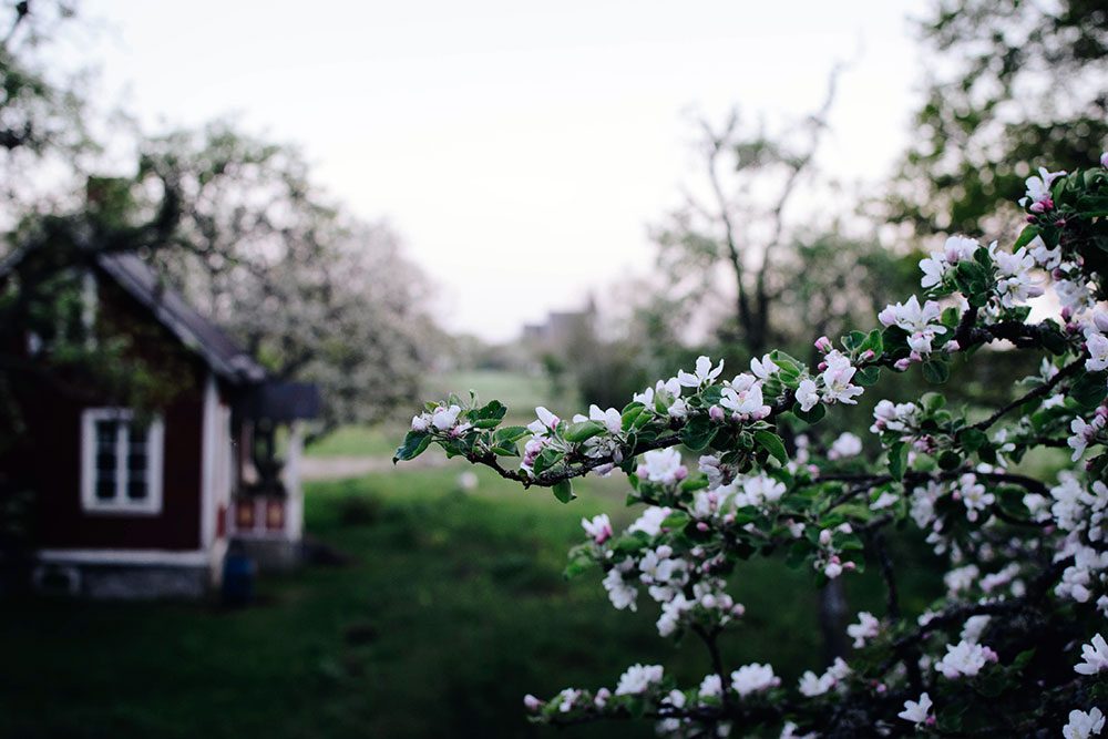 plathuset gotland oppna ateljeer kristihimmelsfard utsikt Lovely Life