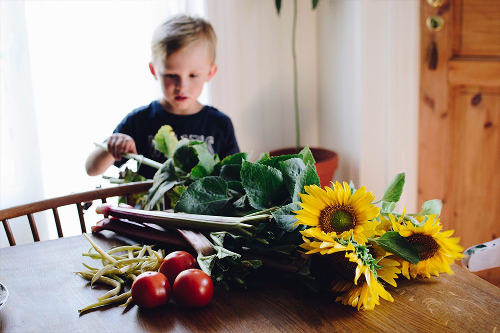 plathuset gotland stora tollby gard sjalvplock gronsaker Självplock på stora Tollby gård och kvällsbad i Sandviken
