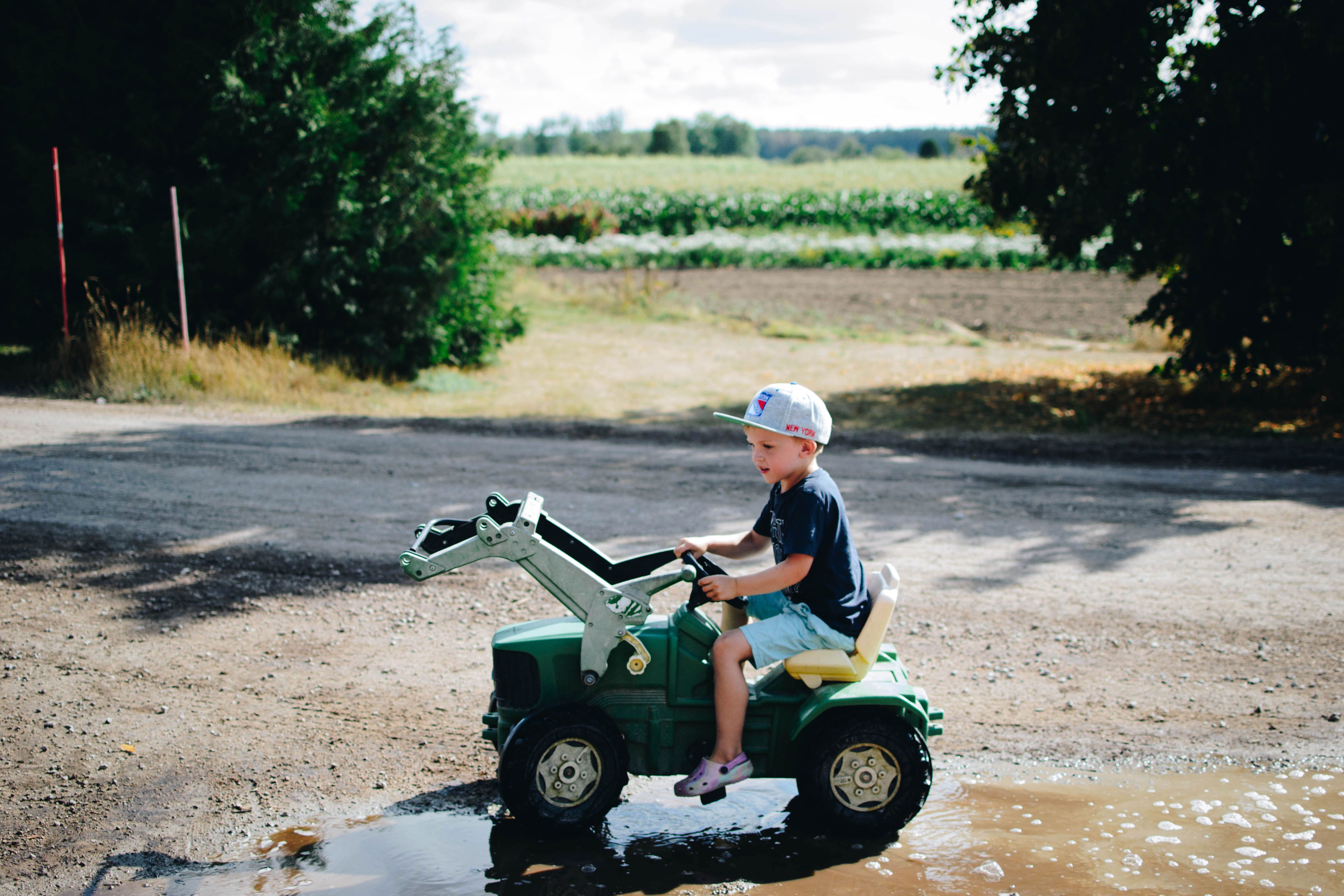 plathuset gotland stora tollby gard sjalvplock traktor Självplock på stora Tollby gård och kvällsbad i Sandviken