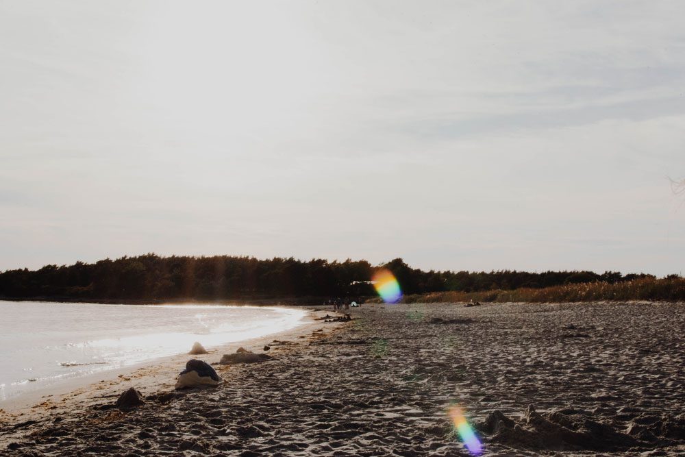 plathuset gotland vitviken Självplock på stora Tollby gård och kvällsbad i Sandviken