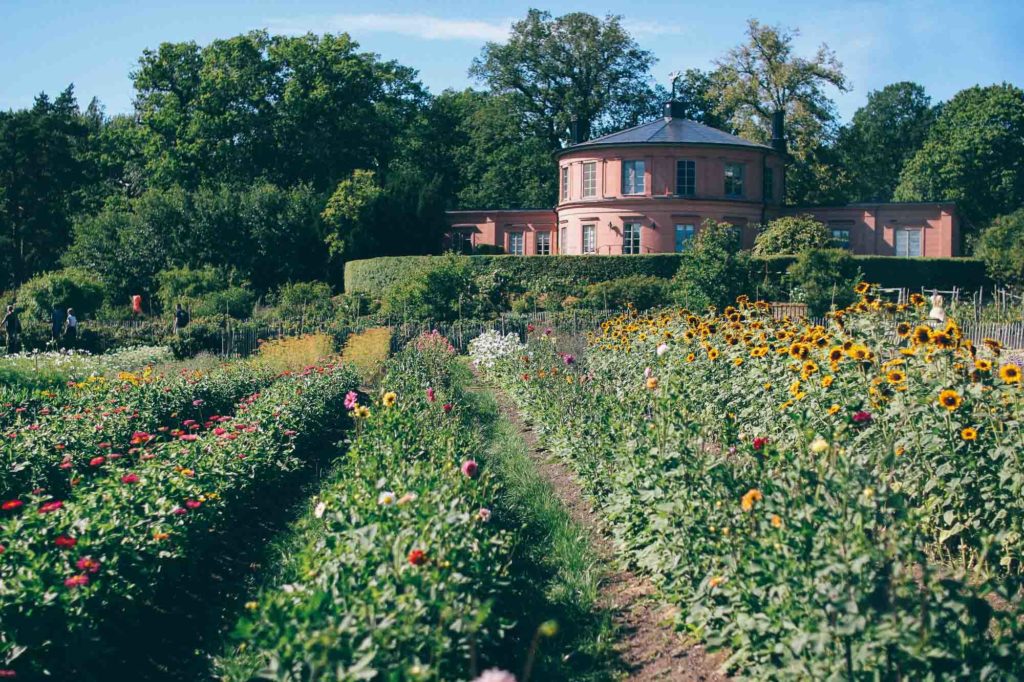 Lovely Life 479 rosendals tradgard stockholm lovely life volang 31 Lovely Life