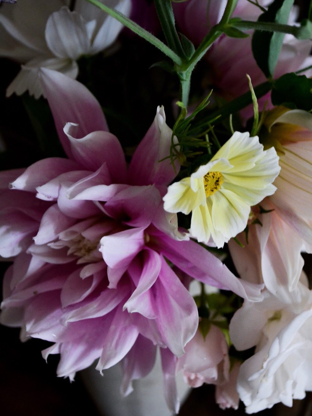 rosenskäragul2 Sensommarbukett direkt från trädgården