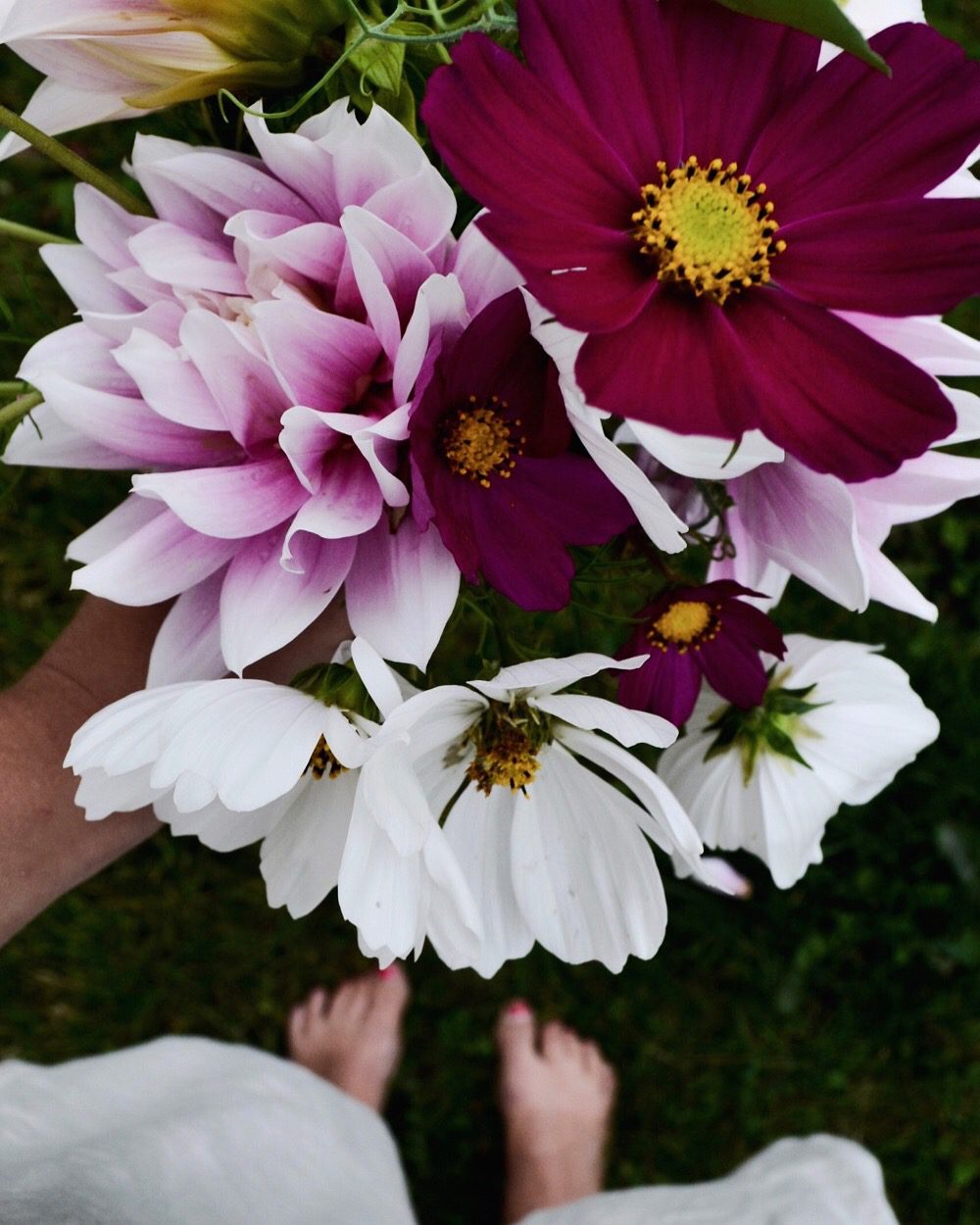 sensommarbukett Sensommarbukett direkt från trädgården