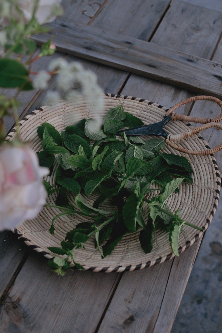 På kvällstur i växthuset 5 På kvällstur i växthuset