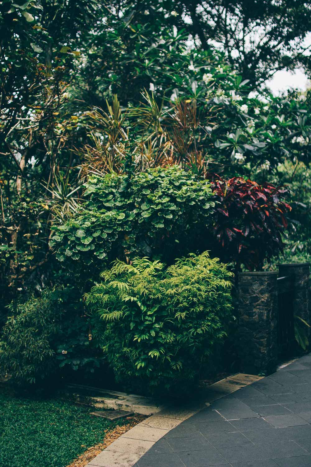 Resan till Sri Lanka, del 1 1 sri lanka dag 1 Resan till Sri Lanka, del 1