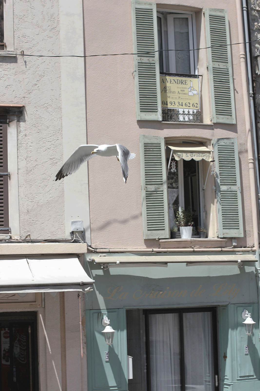 Läs mer om artikeln Antibes!