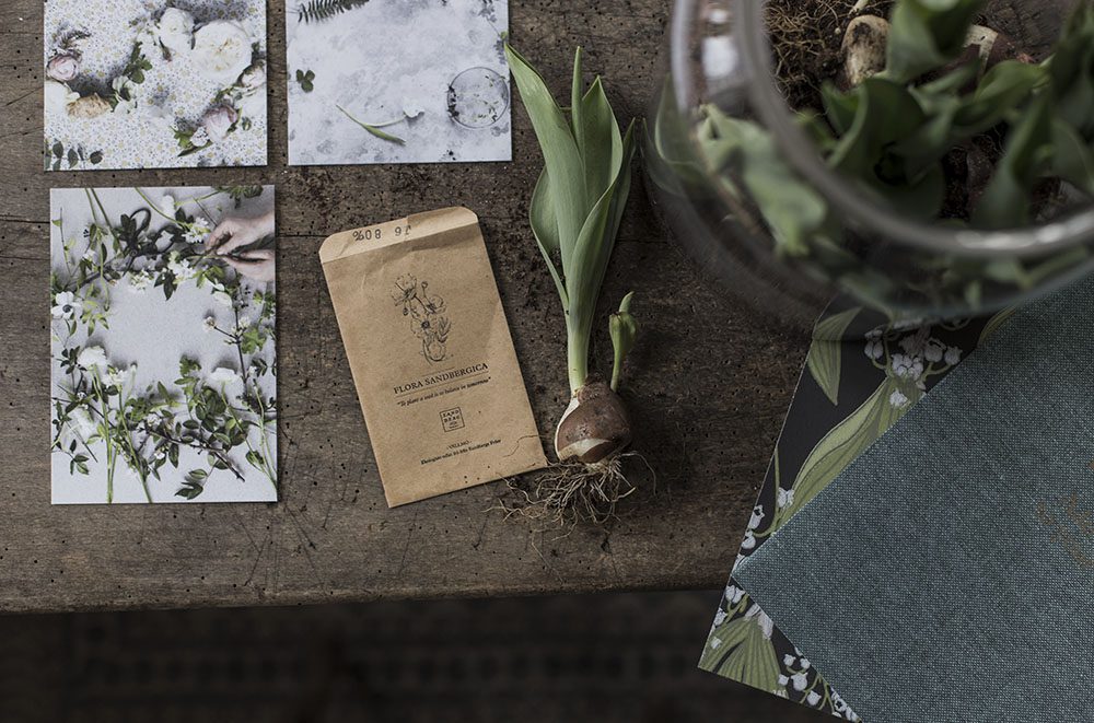 Läs mer om artikeln Flora Sandbergica