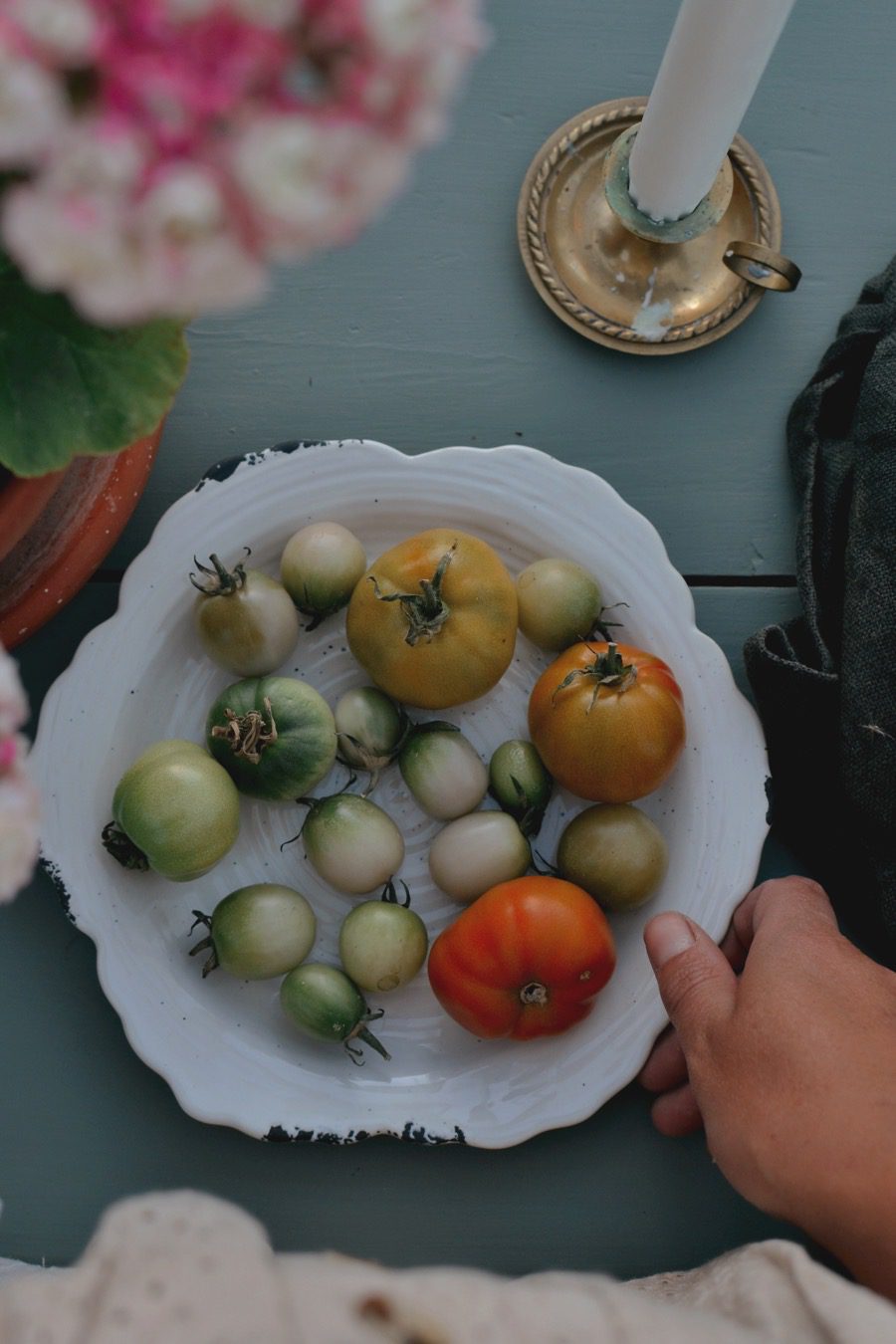 På kvällstur i växthuset 3 På kvällstur i växthuset