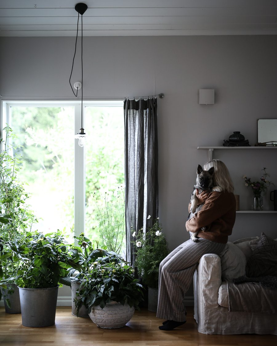 Läs mer om artikeln Räddar sommaren från frosten!