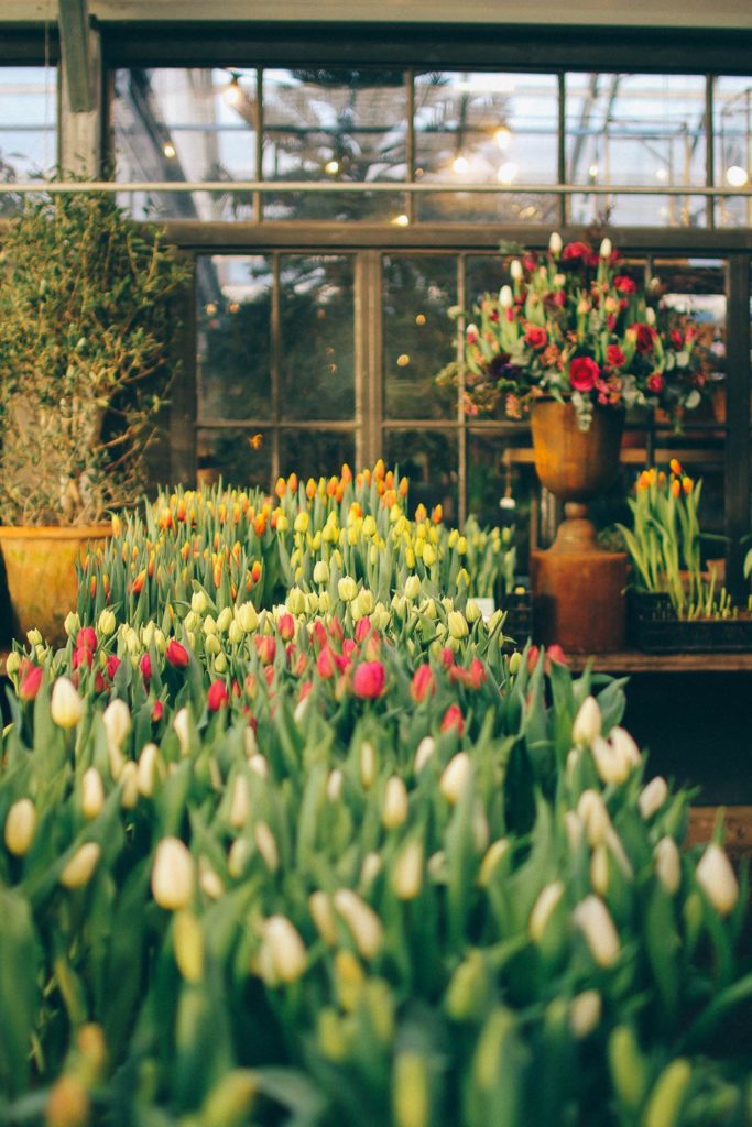 volang lovely life ulriksdals tradgardscafe 7 Lovely Life