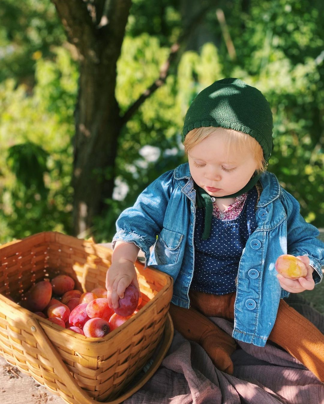 September och oktober med besök i Uppsala, plommon och 3 födelsedagar 1 volanglinda instagram 1 September och oktober med besök i Uppsala, plommon och 3 födelsedagar